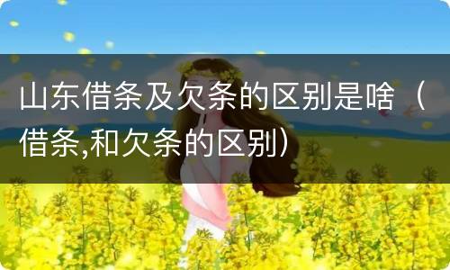 山东借条及欠条的区别是啥（借条,和欠条的区别）