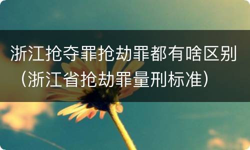 浙江抢夺罪抢劫罪都有啥区别（浙江省抢劫罪量刑标准）