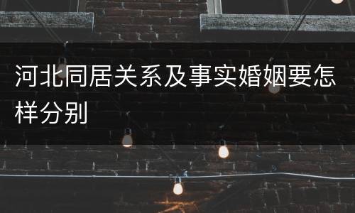 河北同居关系及事实婚姻要怎样分别