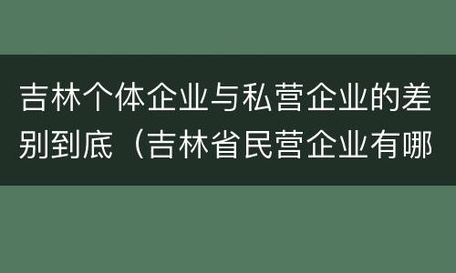 吉林个体企业与私营企业的差别到底（吉林省民营企业有哪些）