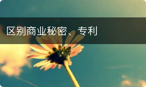 区别商业秘密、专利