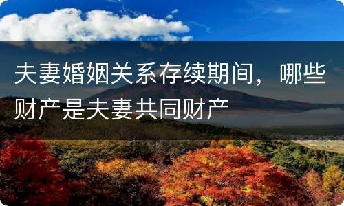 夫妻婚姻关系存续期间，哪些财产是夫妻共同财产