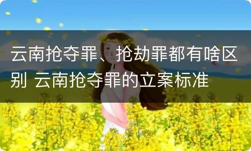 云南抢夺罪、抢劫罪都有啥区别 云南抢夺罪的立案标准