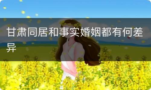 甘肃同居和事实婚姻都有何差异