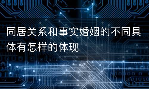 同居关系和事实婚姻的不同具体有怎样的体现