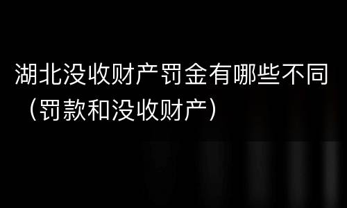 湖北没收财产罚金有哪些不同（罚款和没收财产）