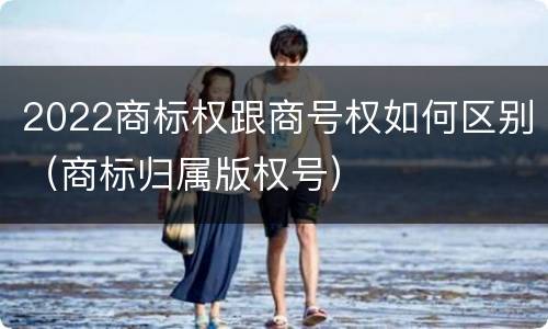 2022商标权跟商号权如何区别（商标归属版权号）