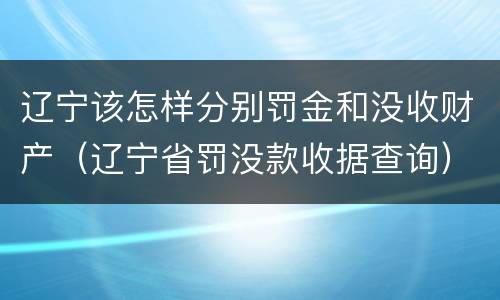 辽宁该怎样分别罚金和没收财产（辽宁省罚没款收据查询）