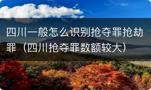 四川一般怎么识别抢夺罪抢劫罪（四川抢夺罪数额较大）