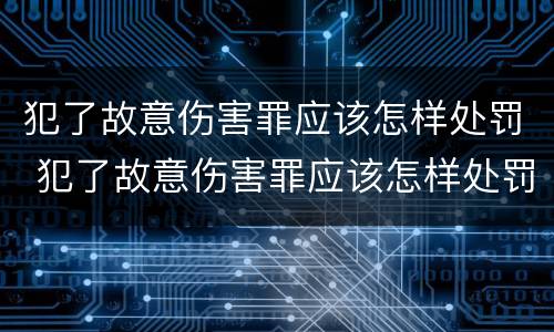 犯了故意伤害罪应该怎样处罚 犯了故意伤害罪应该怎样处罚他
