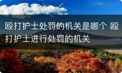 殴打护士处罚的机关是哪个 殴打护士进行处罚的机关
