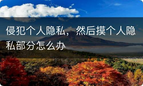 侵犯个人隐私，然后摸个人隐私部分怎么办