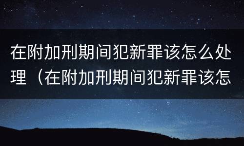 在附加刑期间犯新罪该怎么处理（在附加刑期间犯新罪该怎么处理呢）