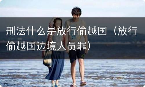 刑法什么是放行偷越国（放行偷越国边境人员罪）