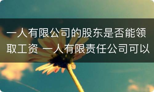 一人有限公司的股东是否能领取工资 一人有限责任公司可以给股东发工资吗