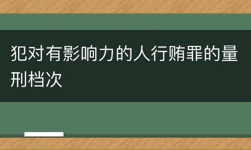犯对有影响力的人行贿罪的量刑档次