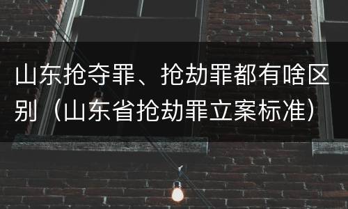山东抢夺罪、抢劫罪都有啥区别（山东省抢劫罪立案标准）