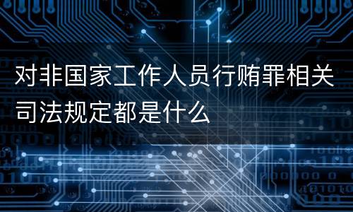 对非国家工作人员行贿罪相关司法规定都是什么