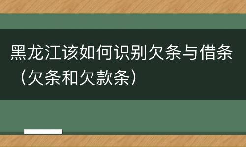 黑龙江该如何识别欠条与借条（欠条和欠款条）
