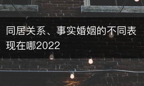 同居关系、事实婚姻的不同表现在哪2022