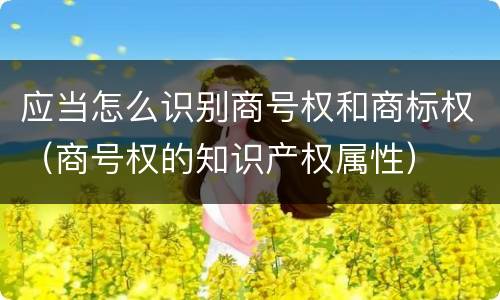 应当怎么识别商号权和商标权（商号权的知识产权属性）