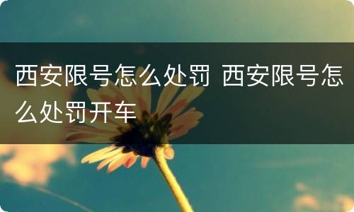 西安限号怎么处罚 西安限号怎么处罚开车