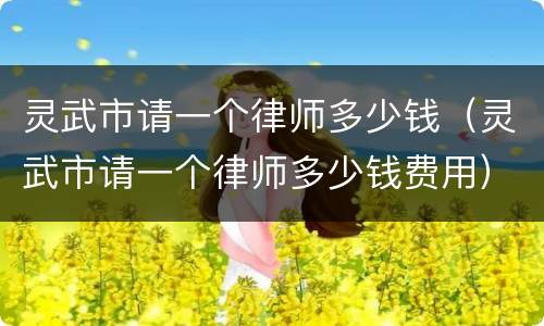 灵武市请一个律师多少钱（灵武市请一个律师多少钱费用）