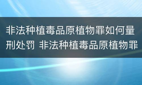 非法种植毒品原植物罪如何量刑处罚 非法种植毒品原植物罪如何量刑处罚标准