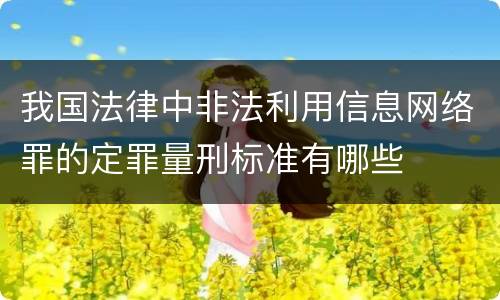 我国法律中非法利用信息网络罪的定罪量刑标准有哪些