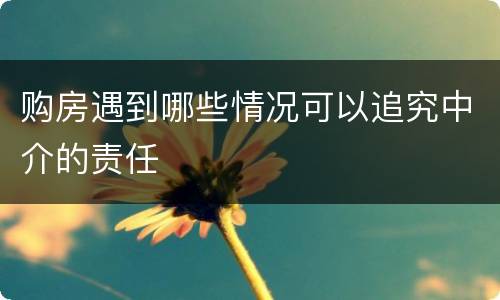 购房遇到哪些情况可以追究中介的责任