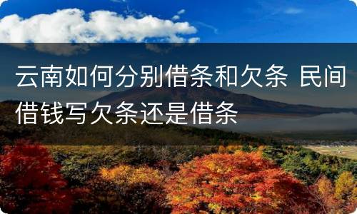 云南如何分别借条和欠条 民间借钱写欠条还是借条