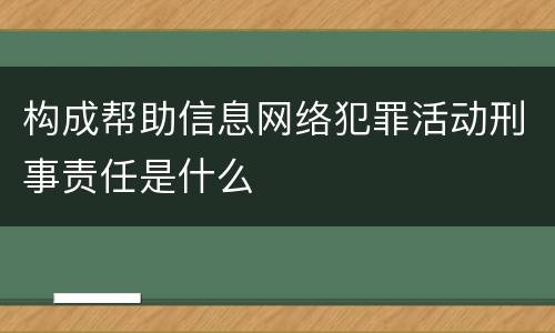 构成帮助信息网络犯罪活动刑事责任是什么