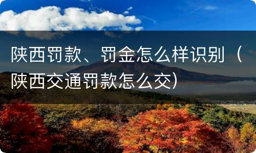 陕西罚款、罚金怎么样识别（陕西交通罚款怎么交）
