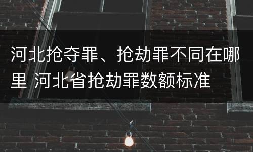 河北抢夺罪、抢劫罪不同在哪里 河北省抢劫罪数额标准