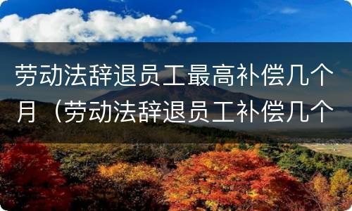 劳动法辞退员工最高补偿几个月（劳动法辞退员工补偿几个月工资）