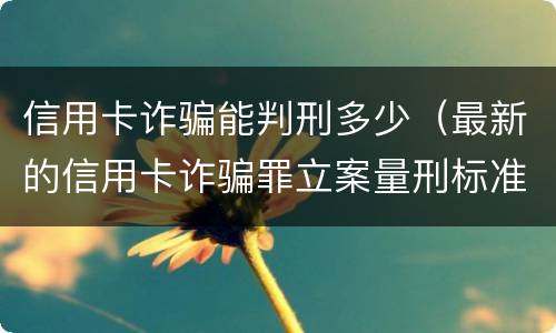 信用卡诈骗能判刑多少（最新的信用卡诈骗罪立案量刑标准）