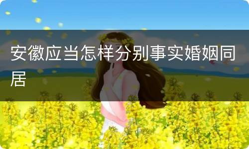 安徽应当怎样分别事实婚姻同居