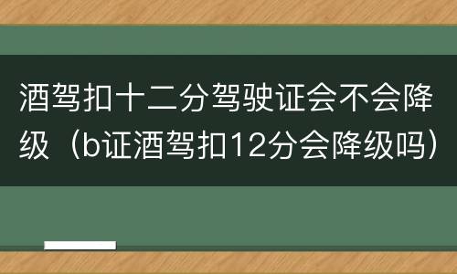 酒驾扣十二分驾驶证会不会降级（b证酒驾扣12分会降级吗）