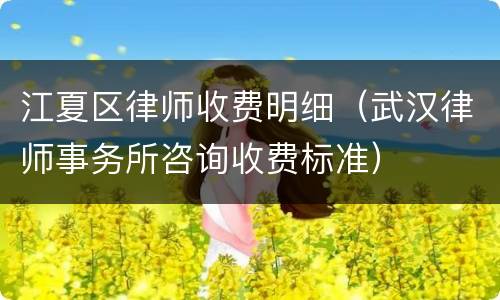 江夏区律师收费明细（武汉律师事务所咨询收费标准）