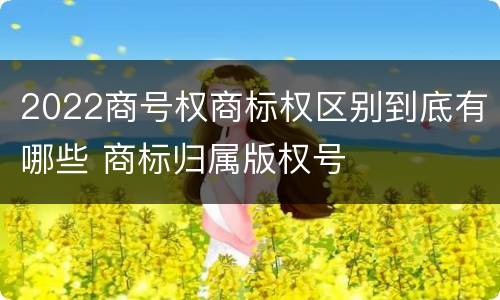 2022商号权商标权区别到底有哪些 商标归属版权号