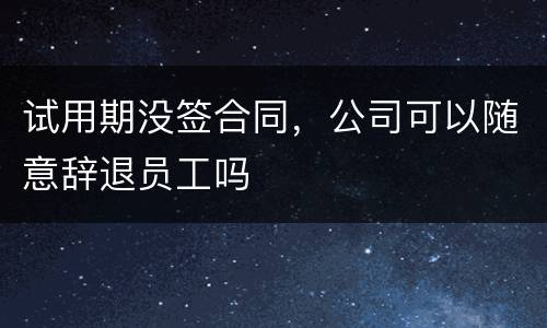 试用期没签合同，公司可以随意辞退员工吗