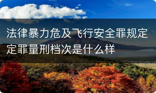 法律暴力危及飞行安全罪规定定罪量刑档次是什么样