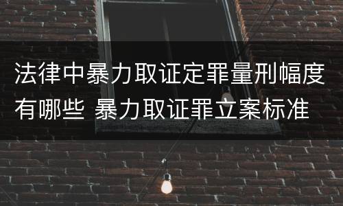 法律中暴力取证定罪量刑幅度有哪些 暴力取证罪立案标准