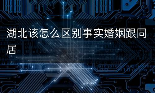 湖北该怎么区别事实婚姻跟同居