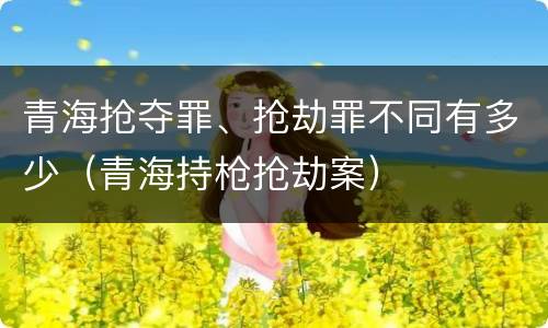青海抢夺罪、抢劫罪不同有多少（青海持枪抢劫案）