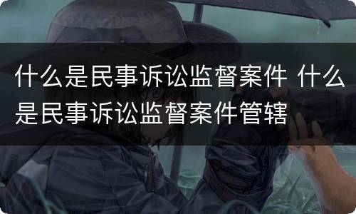 什么是民事诉讼监督案件 什么是民事诉讼监督案件管辖