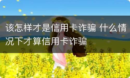 该怎样才是信用卡诈骗 什么情况下才算信用卡诈骗