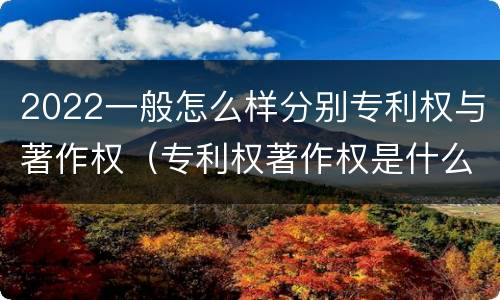 2022一般怎么样分别专利权与著作权（专利权著作权是什么意思）