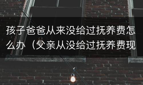 孩子爸爸从来没给过抚养费怎么办（父亲从没给过抚养费现在我长大了他想见我）