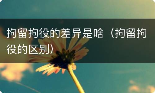 拘留拘役的差异是啥（拘留拘役的区别）